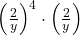 {\left(\frac{2}{y}\right)}^{4} \cdot \left(\frac{2}{y}\right)